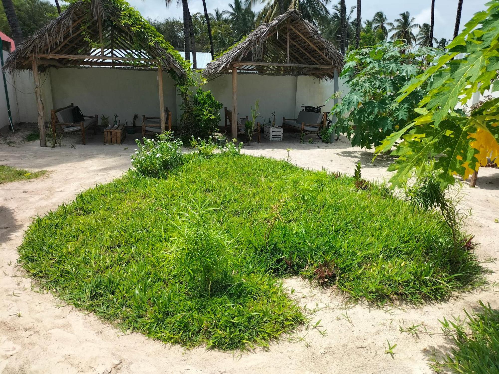 Mambo Leo Hostel Paje Luaran gambar