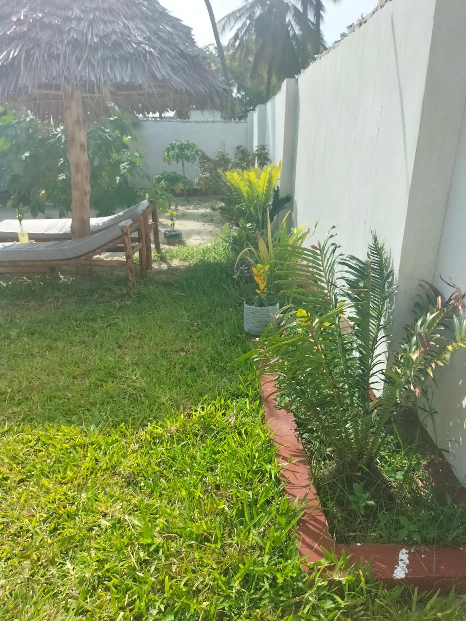 Mambo Leo Hostel Paje Luaran gambar