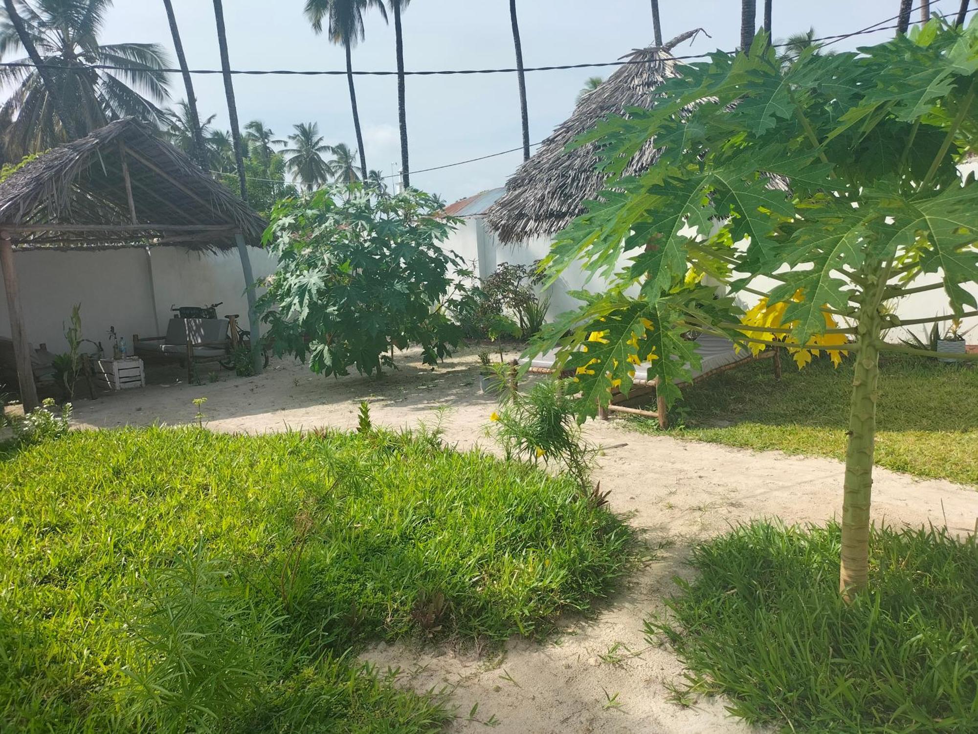 Mambo Leo Hostel Paje Luaran gambar